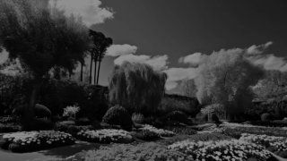 Video screenshot “Ding-a-Dong” Video screenshot “Ding-a-Dong”